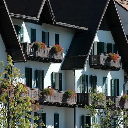 Th San Martino - Majestic Dolomiti Hotel 산마르티노디카스트로차 외부 사진