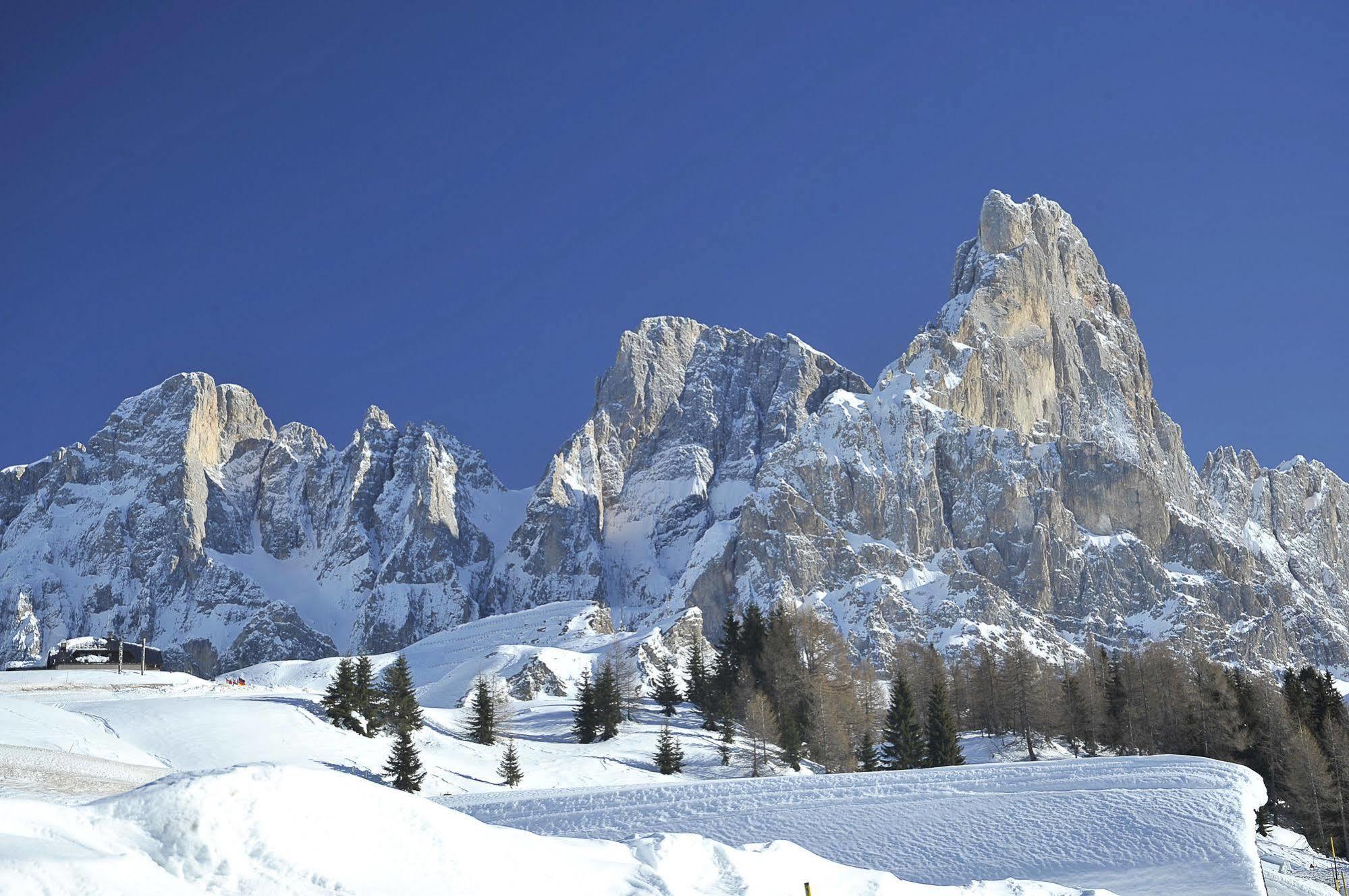 Th San Martino - Majestic Dolomiti Hotel 산마르티노디카스트로차 외부 사진